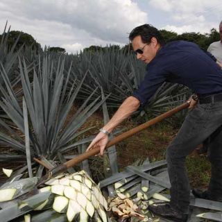 Amaia y Marc Anthony, en Tequila