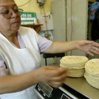 Aumentará Gruma 5% sus ventas en Estados Unidos