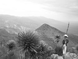 Indígena wixárika en el Cerro del Quemado, en el desierto de Real de Catorce. ESPECIAL  /