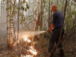 Los incendios intencionados registrados entre junio y agosto arrasaron casi cuatro millones de hectáreas. ARCHIVO  /