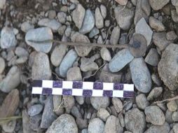 El hallazgo fue realizado por investigadores que tienen a su cargo la obra de restauración. ESPECIAL  /