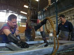 El director general del IMSS afirmó también que la cifra de empleo es un buena noticia. ARCHIVO  /