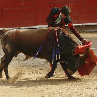 De los toros con verdad, por Francisco Baruqui