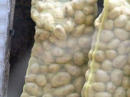 Se han localizado algunas plagas peligrosas en embarques estadounidenses. ARCHIVO  /