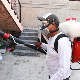 El fin de semana inician acciones contra el dengue por la Romería
