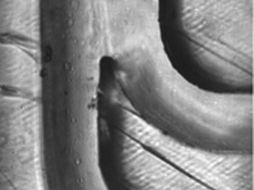 El aparato es de plástico y tiene le tamaño de una moneda. ESPECIAL  /