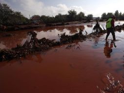 Un trabajador limpia un encharcamiento venenoso en el poblado de Kolontar, al oeste de Budapest. REUTERS  /