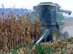 Se destinarán menos recursos para el campo mexicano. ARCHIVO  /