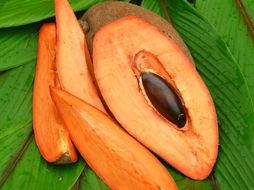 La empresa instó a los consumidores a abstenerse del consumo de la crema helada. ESPECIAL  /