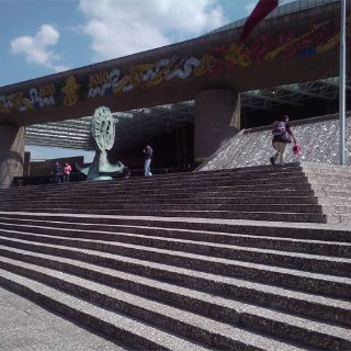 Dan a conocer la lista de nominados a premio Lunas del Auditorio