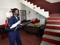 La funcionaria advierte que los oaxaqueños no están preparados para los serotipo de dengue tres y cuatro. ARCHIVO  /