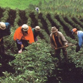 Reforma Agraria soluciona conflicto de la selva de Chiapas