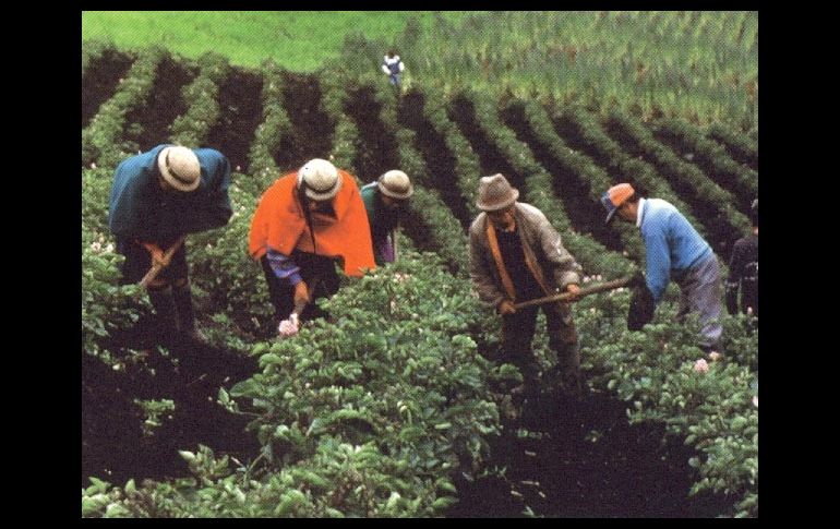 La SRA logró un acuerdo en la disputa por las tierras entre particulares e indígenas. ARCHIVO  /