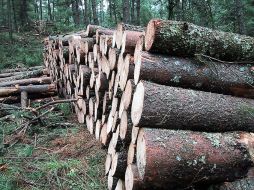 El empresario dice que Latinoamérica es lugar de inversión, por sus recursos naturales. ARCHIVO  /