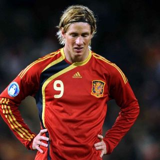 Fernando Torres supera la lesión