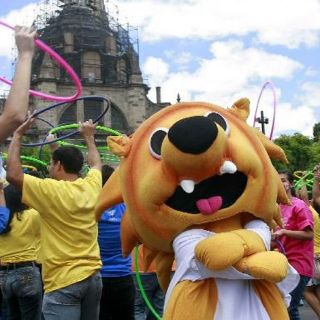 En marcha, gestiones para el hospedaje en Panamericanos