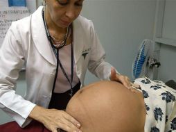 Encuentran relación con la genración de óvulos de calidad. EFE  /