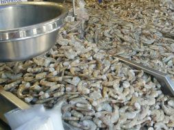El embargo afectaba a una industria camaronera que sostiene unos 10 mil empleos directos. ARCHIVO  /