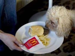 Asegura que la hamburguesa se encogió un poco, pero no tiene moho y visualmente es igual . AFP  /