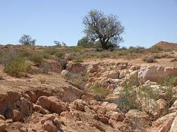La desertificación, erosión de los suelos y sequías en la región del norte conducirán a un potencial cambio demográfico. ESPECIAL  /