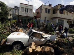 La brigada de rescate asegura que 50% del servicio eléctrico colapsó por el paso de la tormenta ''Paula''. REUTERS  /