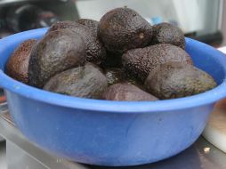 El aguacate Hass que se cultiva en Michoacán es reconocido como el de mejor calidad. M. FREYRÍA  /