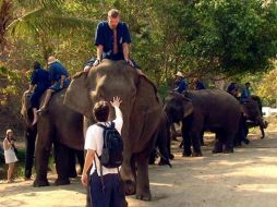 En la India viven el 60 por ciento de los elefantes de Asia. EFE  /