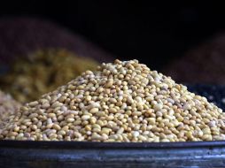 Se busca impulsar la producción de frijol. ARCHIVO  /