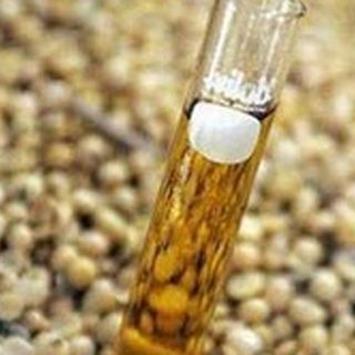 Apoyan en Colombia proyectos de biocombustible en AL