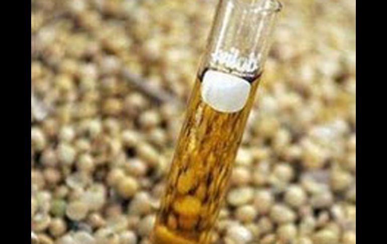 En lo próximo jefes de estado de Latinoamérica se reunirán en un congreso para discutir sobre estas tecnologías. ESPECIAL  /