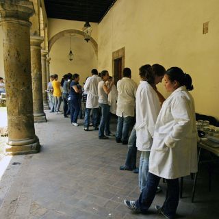 La colección Collignon recupera esplendor