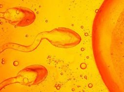 Los investigadores insistieron en que el factor más importante que influye en la fertilidad de una mujer es la edad. ESPECIAL  /