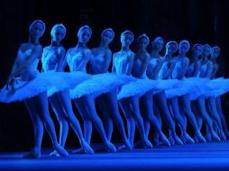 Por lo anterior la Universidad de Guadalajara, propietaria del inmueble se deslinda de la responsabilidad legal. ESPECIAL  /