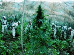 Steinberg halagó la lucha de México contra el narcotráfico. EFE  /