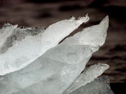 Son la voz de alerta que debe tomarse en cuenta no sólo en el medio ambiente sino también en la economía de las regiones. EFE  /