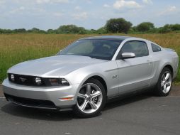Mustang V8. M.CASTILLO  /