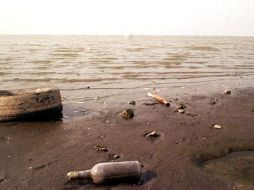 Medio ambiente es uno de los temas de las ponencias, así como seguridad alimentaria, seguridad energética y salud. ARCHIVO  /