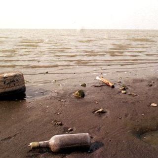 Cumbre de biotecnología Agrícola tendrá como sede la ciudad