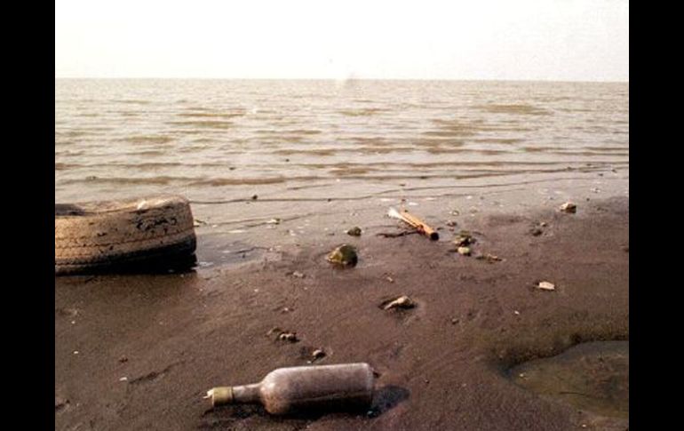 Medio ambiente es uno de los temas de las ponencias, así como seguridad alimentaria, seguridad energética y salud. ARCHIVO  /