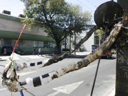 Anteriormente ya se había presentado un acto de este tipo con la exposición de vacas del Cow Parade. M. FREYRIA  /