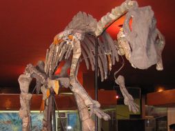 El enorme y sorprendente  hadrosaurio “Pico de pato” del Museo de Delicias. P. FERNÁNDEZ  /