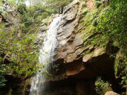 Para llegar a la Cascada El Salto, se puede hacer una cabalgata y disfrutar de los paisajes.ESPECIAL  /