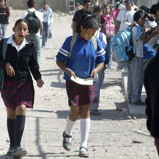 Descartan en Jalisco mejoría en lectura, matemáticas y ciencias