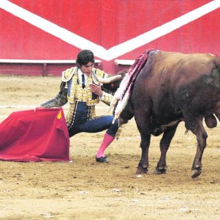 De los toros con verdad