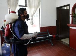 En lo que va de este 2010 se registran  mil 64 casos de dengue. ARCHIVO  /