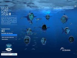 Se trata de una campaña lanzada por la ONG Oceana para salvar a esta especie del Mediterraneo. EFE  /