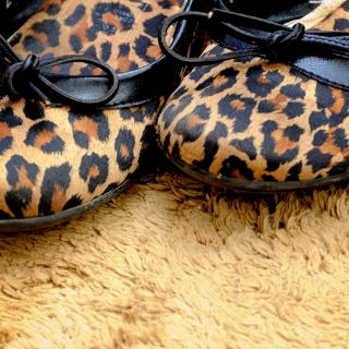 Asómate a la belleza