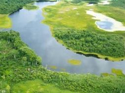 En esta zona se encuentran numerosos sitios arqueológicos y más de 3 mil especies de plantas. RAMSAR.ORG  /