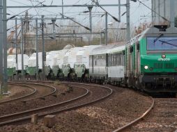 Tren del convoy Castor de residuos altamente radiactivos. EFE  /