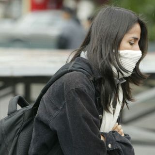 Diario de un espectador